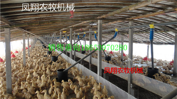 �R�����P���r���P���B���Ԅ����ϙC�Ľ�B